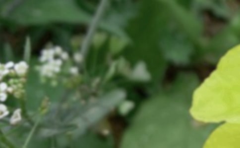 �����İ��߼��У����x350�䣩