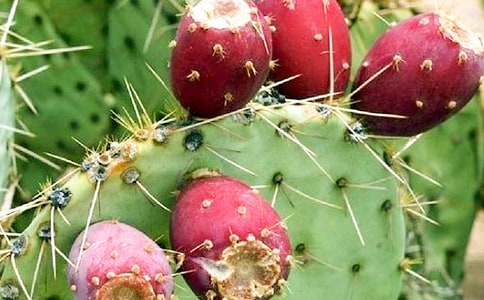 �������^����ӛģ�弯��8ƪ