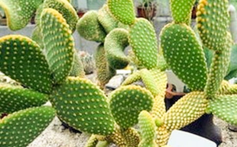 �������^����ӛ