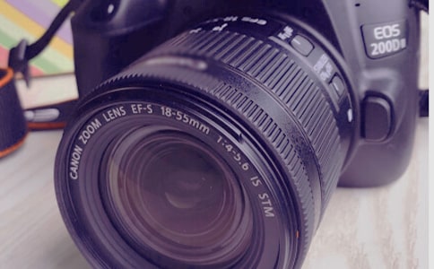 走遍天下相機(jī)為侶五年級作文300字