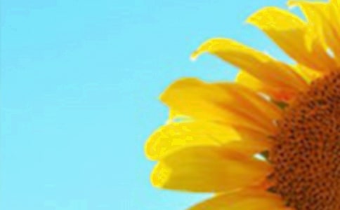 ���տ�С�W(xu��)����10ƪ