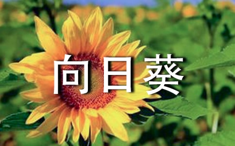 余光中《向日葵》原文閱讀