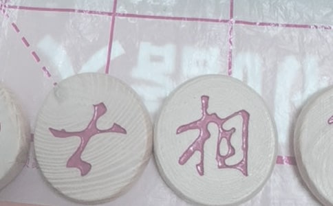 我學(xué)會了下象棋作文400字上下