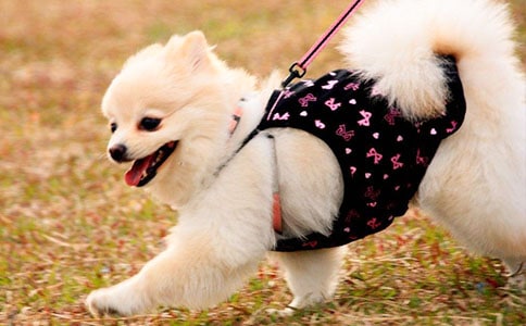 �oС����һ����(15ƪ)