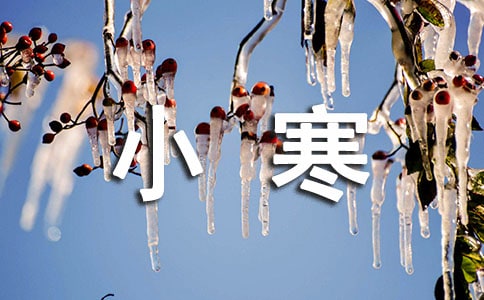 2020��С������ף���Z����54�l