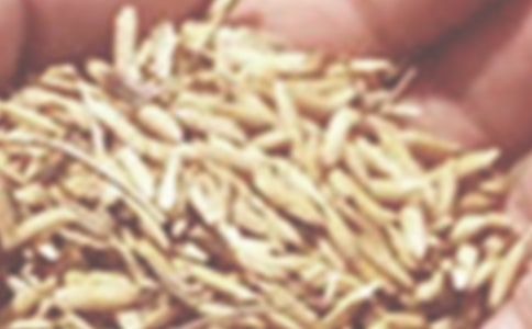 �а��όW(xu��)�ڡ��NֲС�����ƌW(xu��)�̰������x10ƪ��