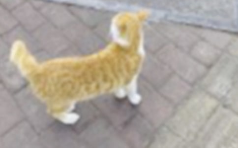 ����С؈�^��M����ӛ