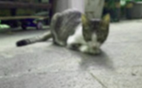 С�u��С؈���Ž̰��O(sh��)Ӌ