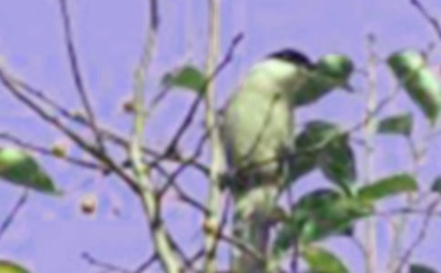 �P(gu��n)�ڱ��l(w��i)С�B��`�������Z