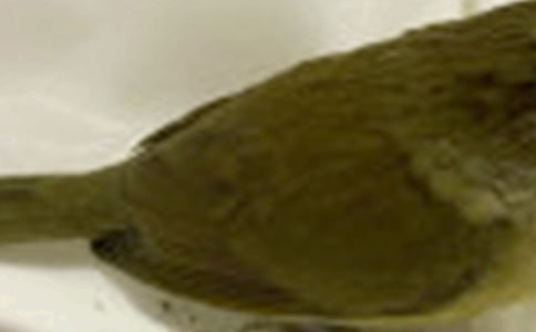 ��С�B�ļҡ��̌W(xu��)�O(sh��)Ӌ