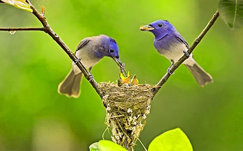 С�B��С؈�̰��O(sh��)Ӌ(j��)