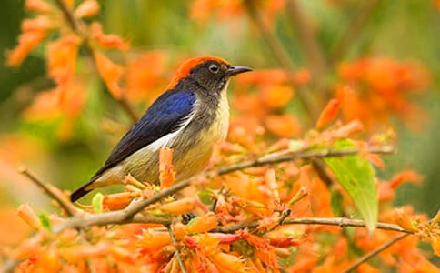 ���oС�B��һ����(15ƪ)