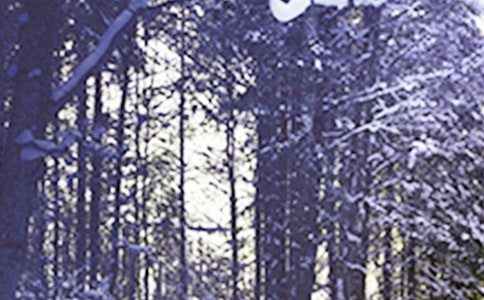 Сѩ��(ji��)������xʽ�̎������vԒ�巶�ģ����x10ƪ��