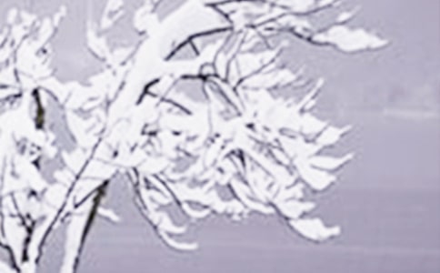 Сѩ��(ji��)��С��̰�ģ�壨ͨ��7ƪ��