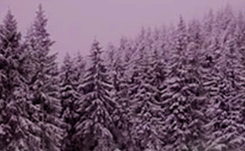 2021����_Сѩ�옷��ף���Z���\38��