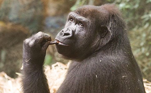 ��˼���������ɵ�˼������x����(x��)�}��