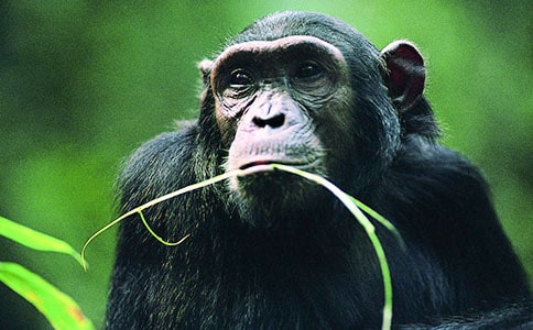 ���������ɵ��x�����ô��