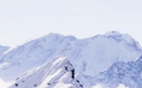 ���Xѩɽ��С�W(xu��)���꼉����