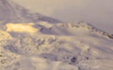 ����ѩɽ�µ��ֽ��ɢ��