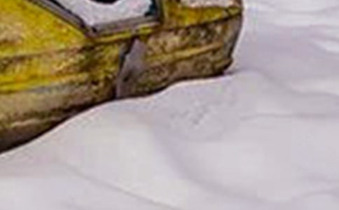 �A(y��)����ѩ��(z��i)���đ�(y��ng)���A(y��)�������x7ƪ��