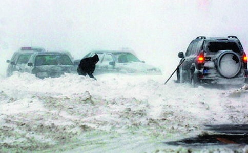 �����ѩ��(z��i)����(y��ng)���A(y��)�����ģ�ͨ��20ƪ��