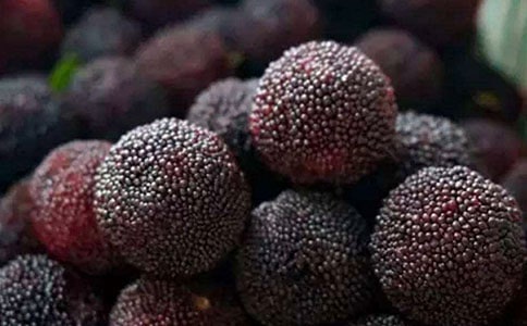 《我愛故鄉(xiāng)的楊梅》讀后感范文(通用5篇)