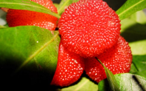 ���l(xi��ng)�ė�÷���ģ����x32ƪ��