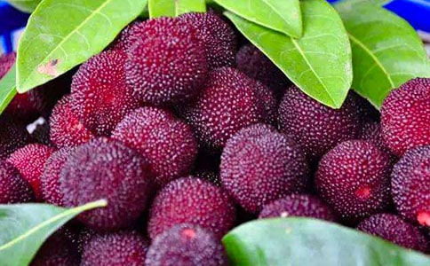 ��÷���꼉����