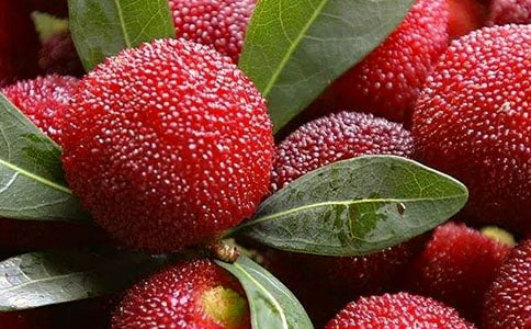 ժ��÷���꼉(j��)���ģ����x52ƪ��