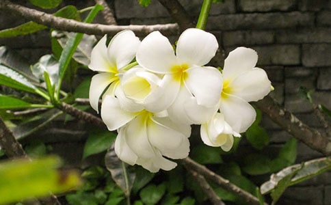 ���꼉(j��)����:ҹ����