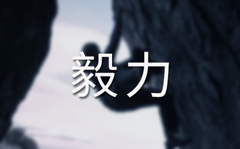 憑著自己的毅力創(chuàng)造奇跡一年級(jí)作文