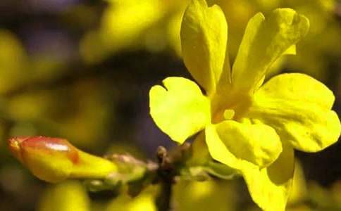 �茑ӭ�����ă�(y��u)������