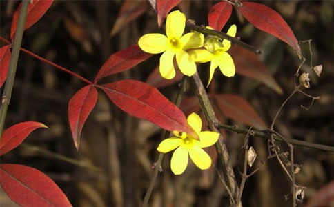 ������Ę�ϵ�ӭ��������Ԋ(sh��)��