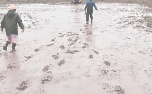 ���﹤����������淶��