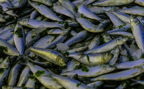 ��С�~��ؼ�����500��