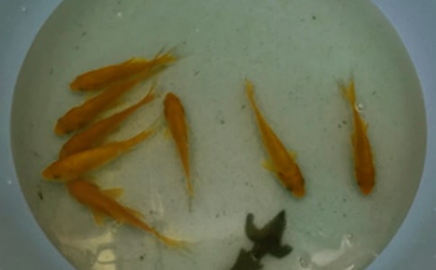 �~��ُ�N��ͬ(���\15ƪ)