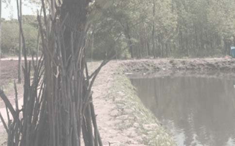 �а��~(y��)����ͬ���\15ƪ