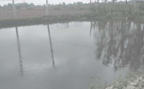 農(nóng)村私人魚塘外包合同模板