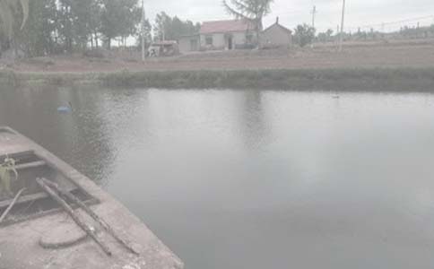 魚(yú)塘租賃合同(15篇)