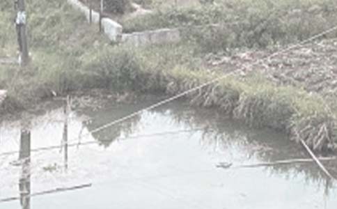 �~(y��)���а����U��ͬ������ͨ��15ƪ��