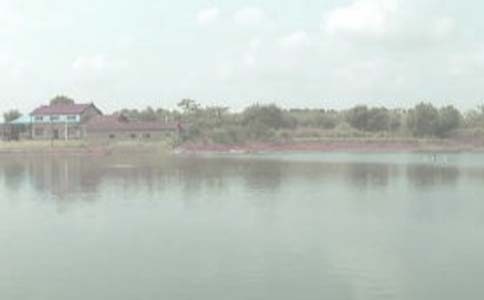 魚塘租賃合同匯編15篇