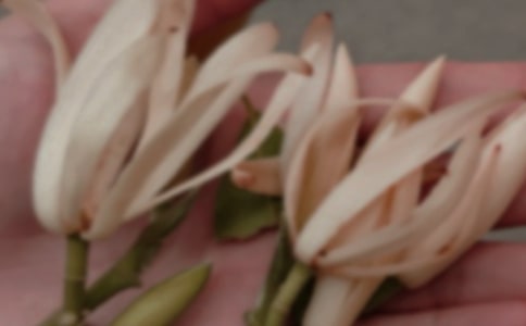 �������m����Ԋ�~