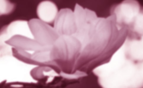 ���m�����꼉���ģ�ͨ��40ƪ��