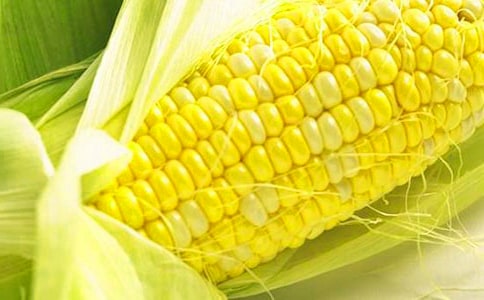 ���׿�����������