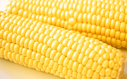 玉米觀察日記6篇