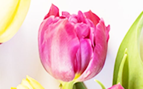 ��������˼��������