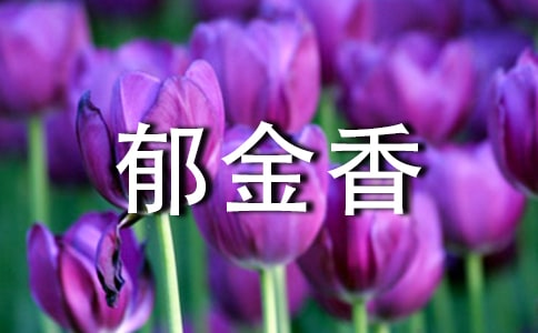 描寫郁金香的好詞好句