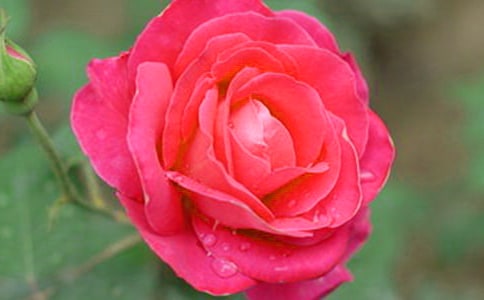 ٝ���¼����ľ��Ӽ�����