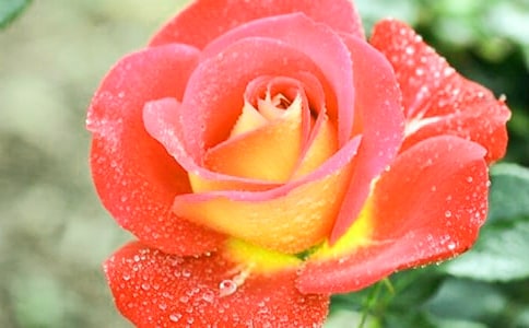 �P(gu��n)���¼����^����ӛ��ƪ