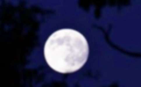 �A�ˈF�A����600�֣����x38ƪ��